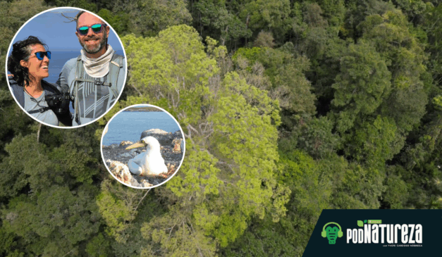 Do Caparaó à Amazônia: lições de uma psicóloga que percorreu o Brasil pela saúde mental